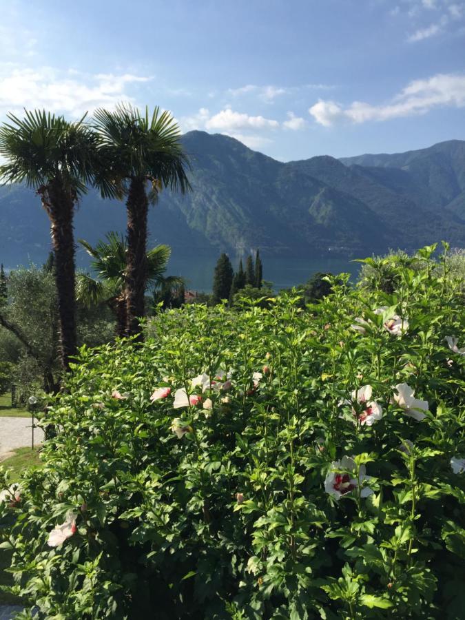 Residenza Margherita Tremezzo Eksteriør billede